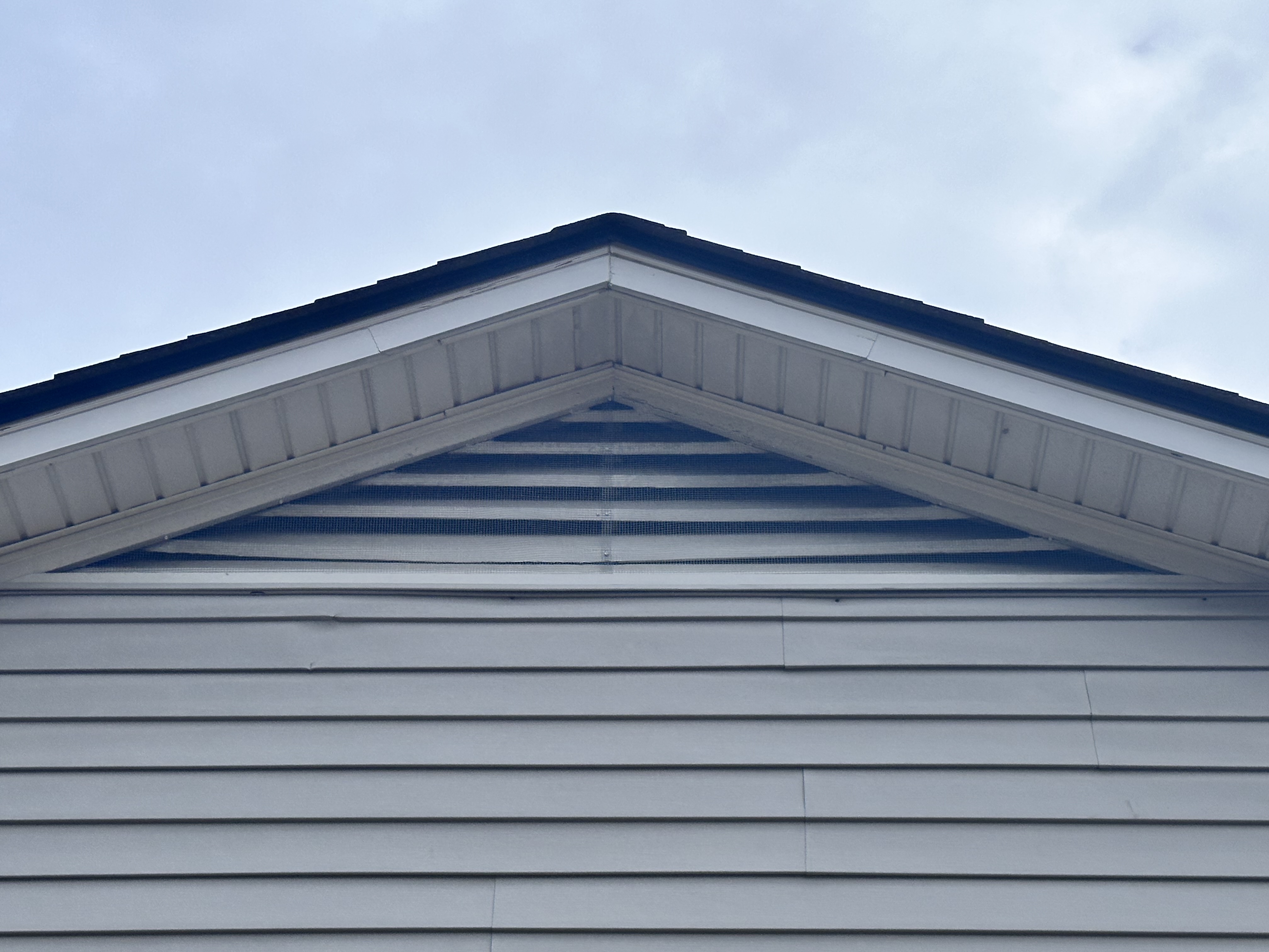 Ark Wildlife Solutions technician sealing a roofline