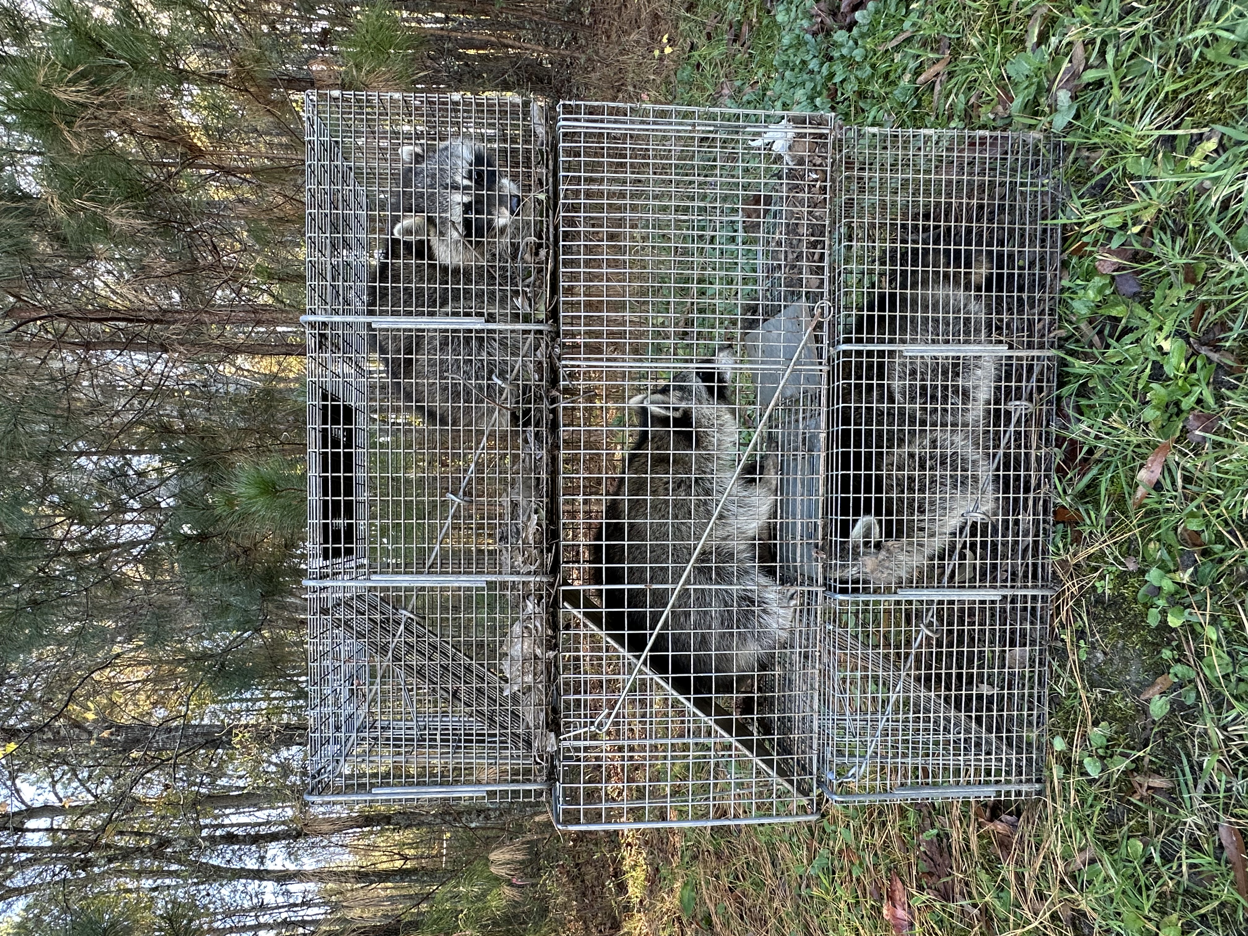Chimney cap installation